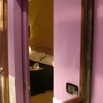 Gatto Bianco Casa Dei Venti