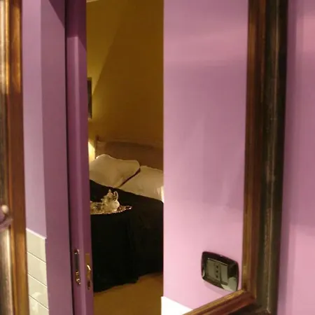 Gatto Bianco Casa Dei Venti