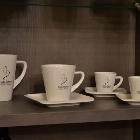 Gatto Bianco Casa Dei Venti