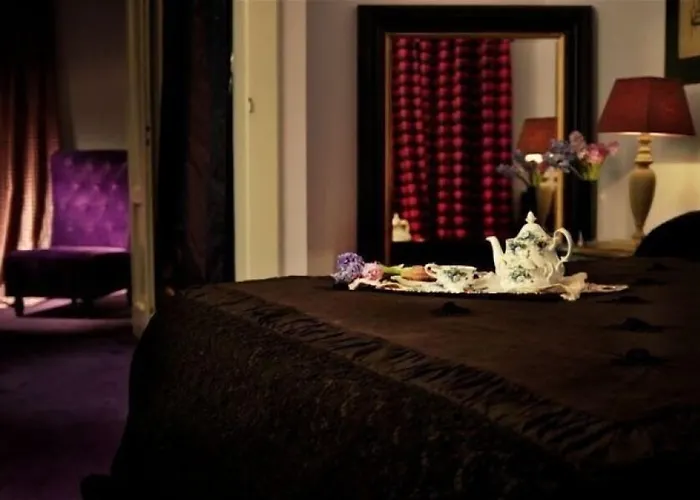 Gatto Bianco Casa Dei Venti Bed & Breakfast