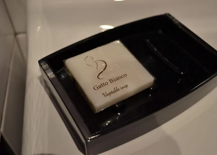 Gatto Bianco Casa Dei Venti Nocleg ze śniadaniem Bari