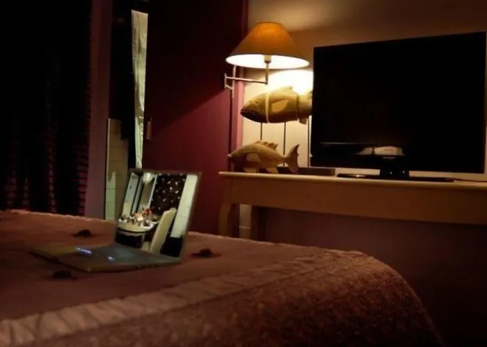 Gatto Bianco Casa Dei Venti Bari