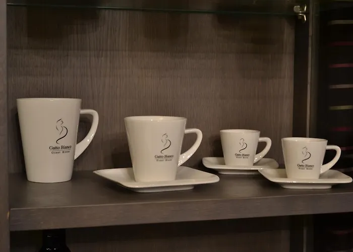 Gatto Bianco Casa Dei Venti Bed & Breakfast Bari