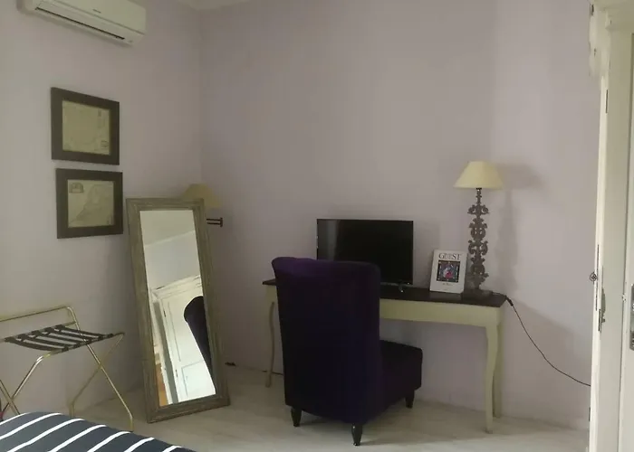 Gatto Bianco Casa Dei Venti